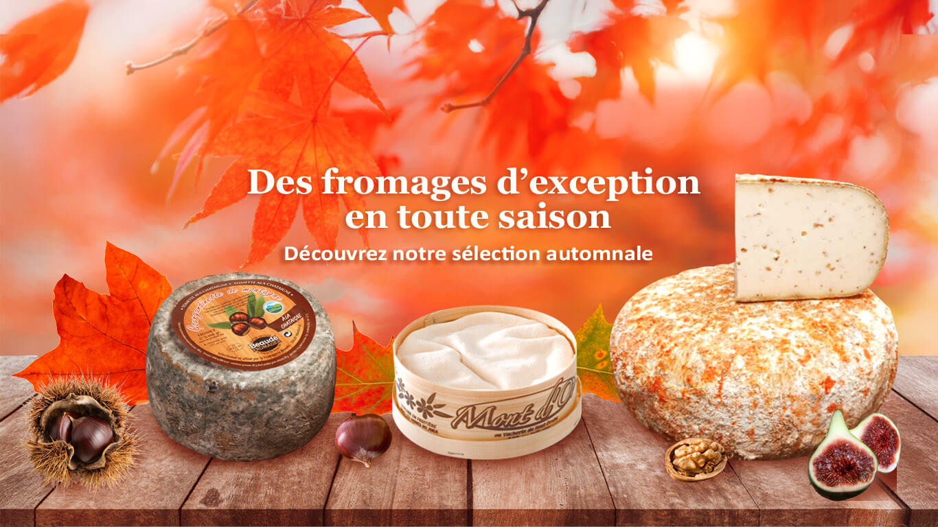 Bienvenue !
